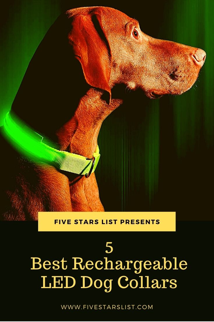 5 Best Rechargeable LED Dog Collars