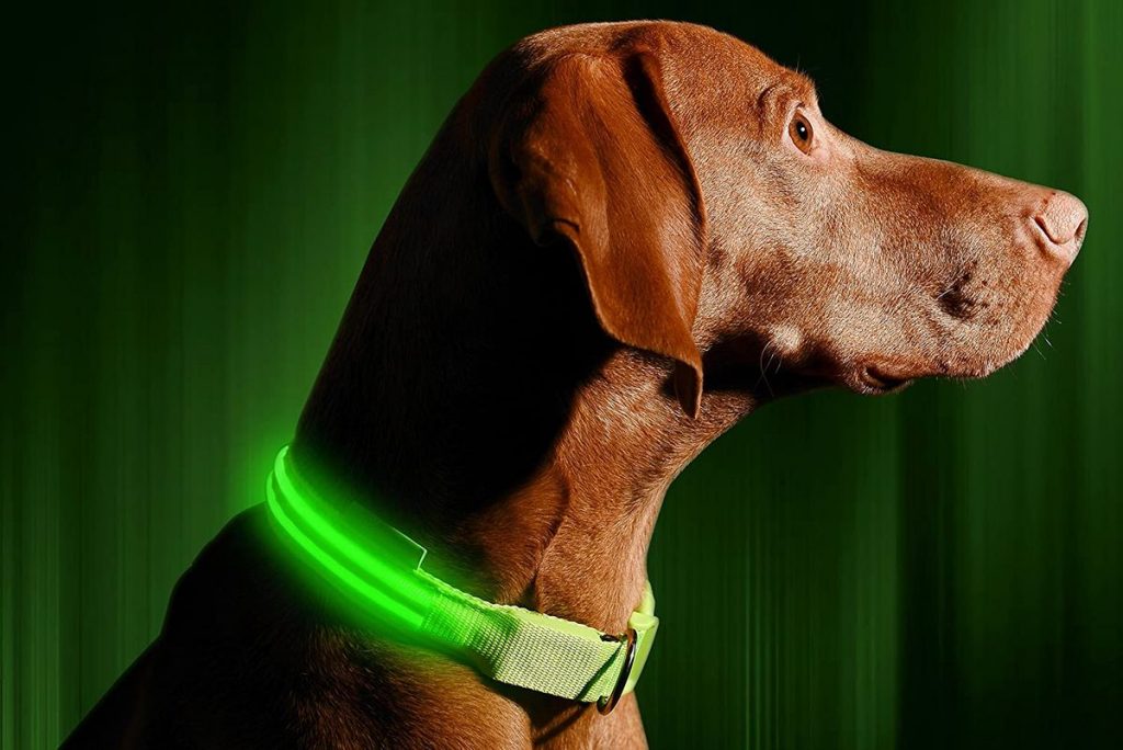 5 Best Rechargeable LED Dog Collars Price and Features