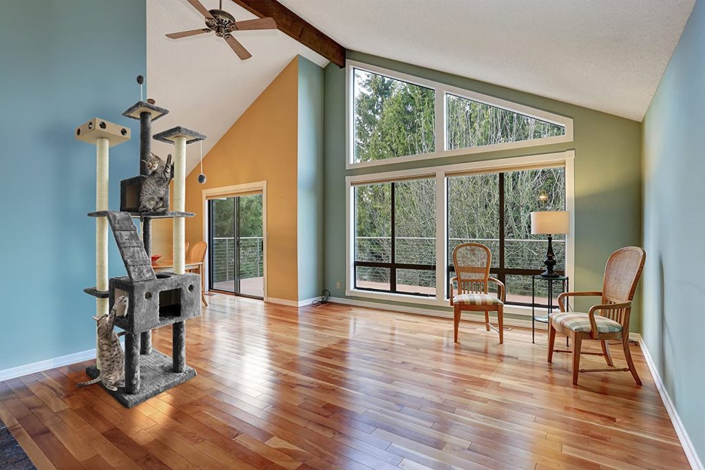 6 Best Cat Trees on Amazon Price and Features