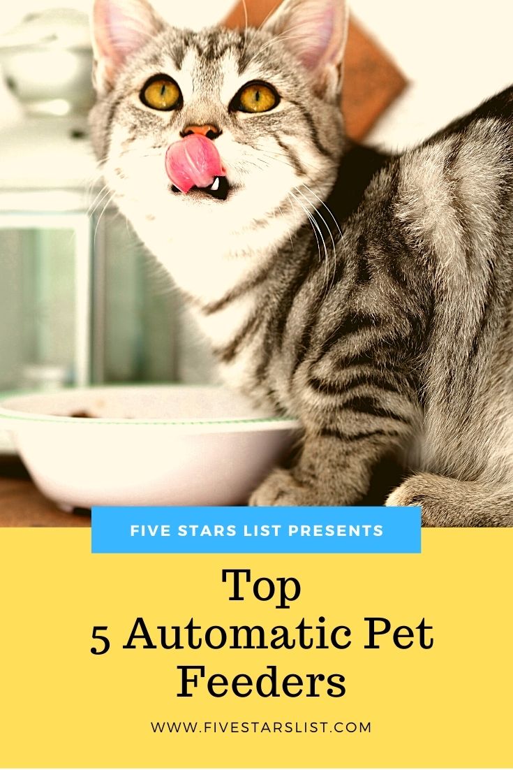 Top 5 Automatic Pet Feeders