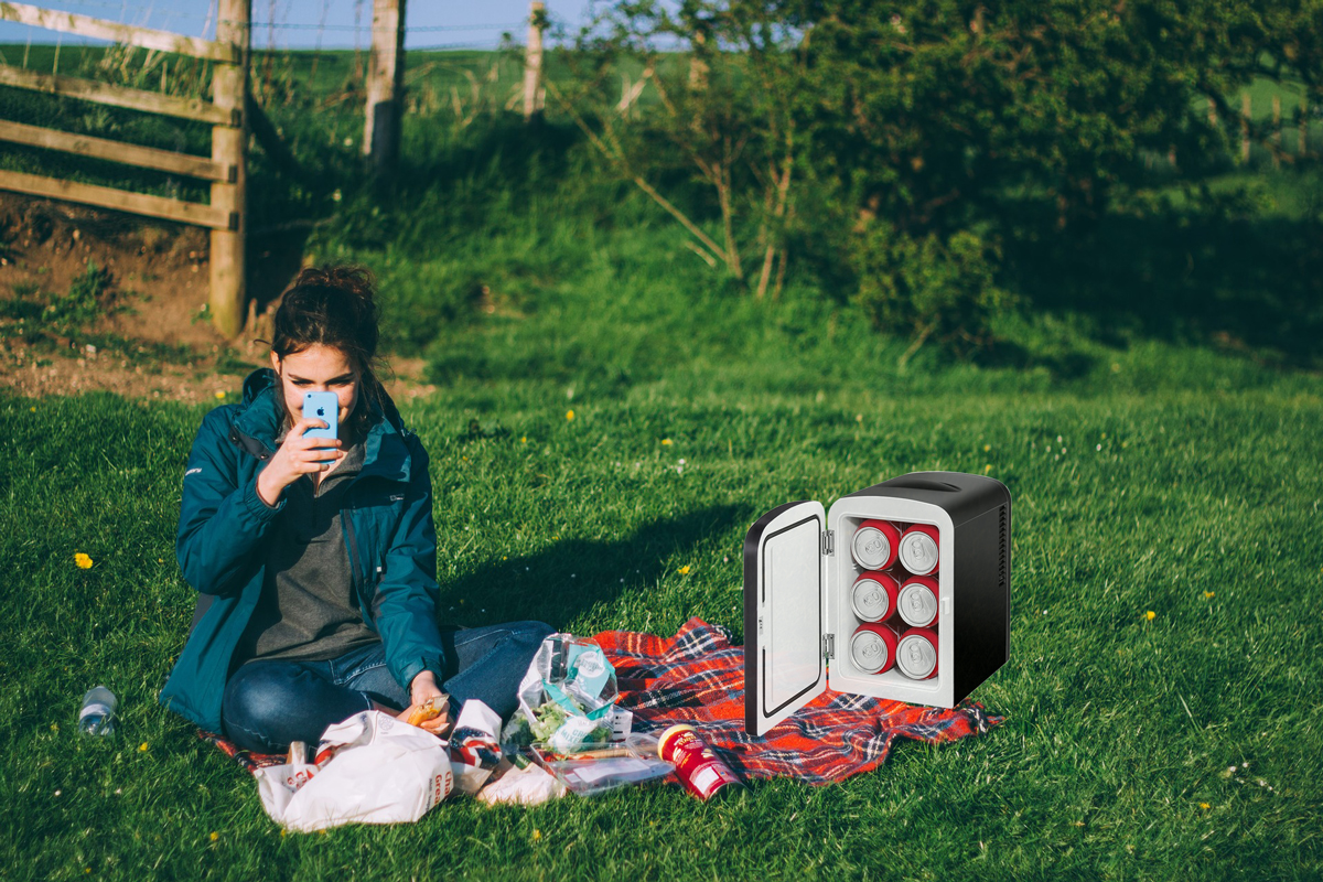 Best Mini Fridges