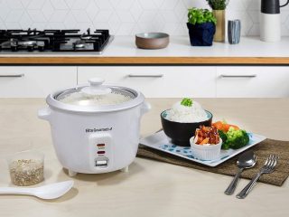 Small Rice Cooker